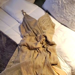 Champagne Sparkle Dress 💌